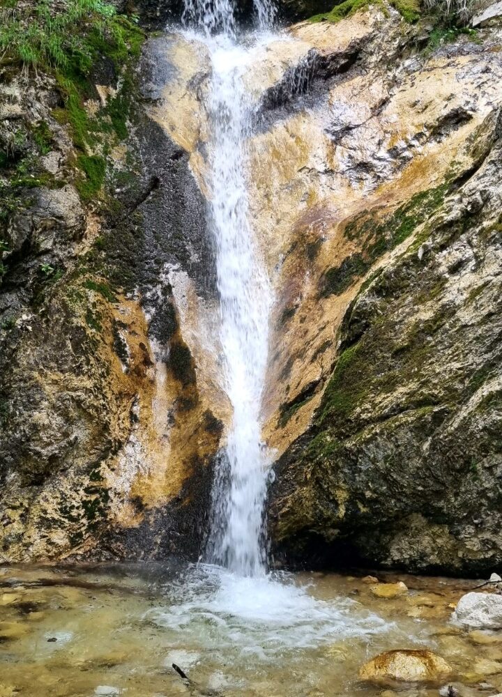 Parco Nazionale d'Abruzzo3 Abruzzo Incoming